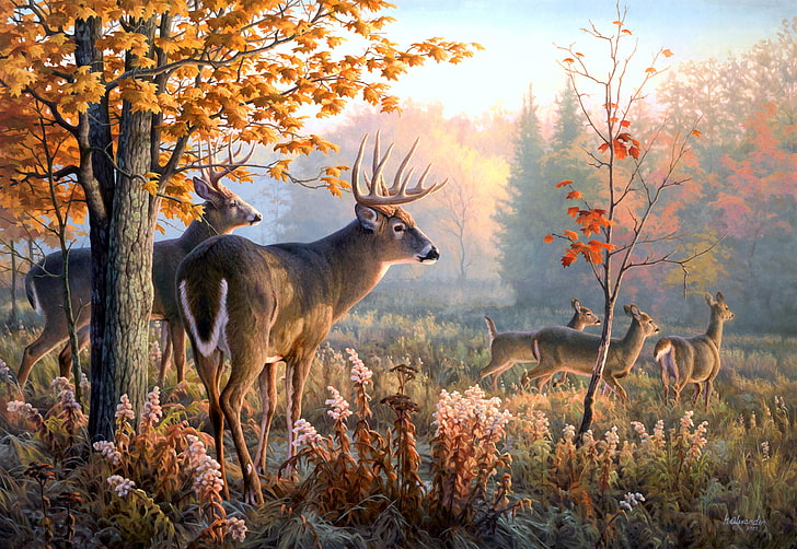 鹿の群れhd壁紙無料ダウンロード Wallpaperbetter