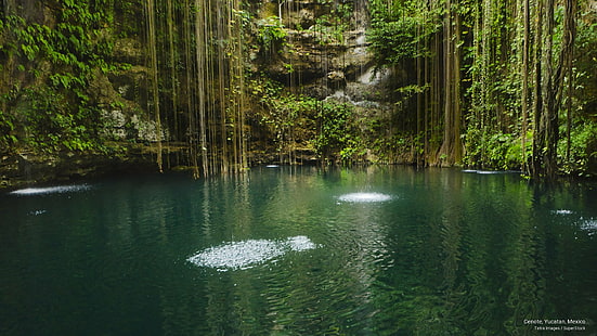 Cenote, Yucatán, México, Naturaleza, Fondo de pantalla HD HD wallpaper
