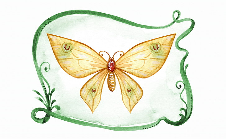 Arte de mariposa, artístico, dibujos, mariposa, diseño, decoración, pintura, acuarela, acuarela, Fondo de pantalla HD