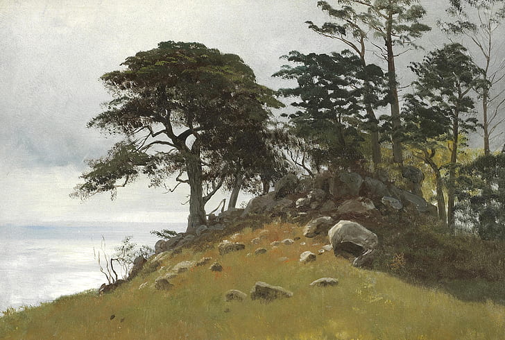 trees, landscape, stones, picture, Albert Bierstadt, Cypress Point. Monterey, HD wallpaper