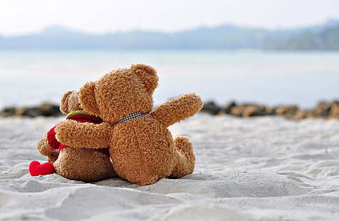 Liebe, Bär, Spielzeug, Herz, romantisch, süß, Teddy, HD-Hintergrundbild HD wallpaper