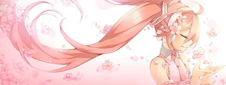Anime, Vocaloid, Hatsune Miku, Sakura Miku, HD wallpaper