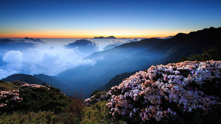 catena montuosa verde e marrone, paesaggio, montagne, cielo sereno, nebbia, natura, Sfondo HD