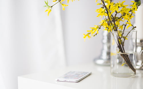 iPhone, yellow forsythia flowers and clear glass vase centerpiece, Computers, Mac, Apple, Spring, Phone, Flowers, Desk, Home, iPhone, Work, Technology, Mobile, Interior, Office, yellowflowers, workspace, iphone6, iphone6plus, whitedesk, officespace, homeoffice, HD wallpaper HD wallpaper