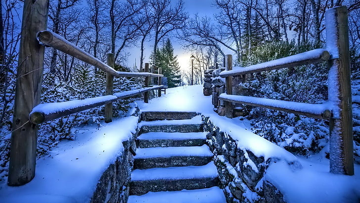 snow, winter, nature, evening, stairs, tree, step, path, sky, park, photography, branch, woodland, forest, photo, HD wallpaper