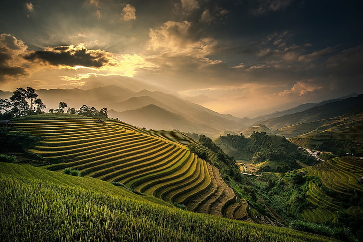 rice terraces, nature, landscape, field, terraces, mountains, mist, sunset, valley, clouds, sky, Bali, Indonesia, rice paddy, HD wallpaper