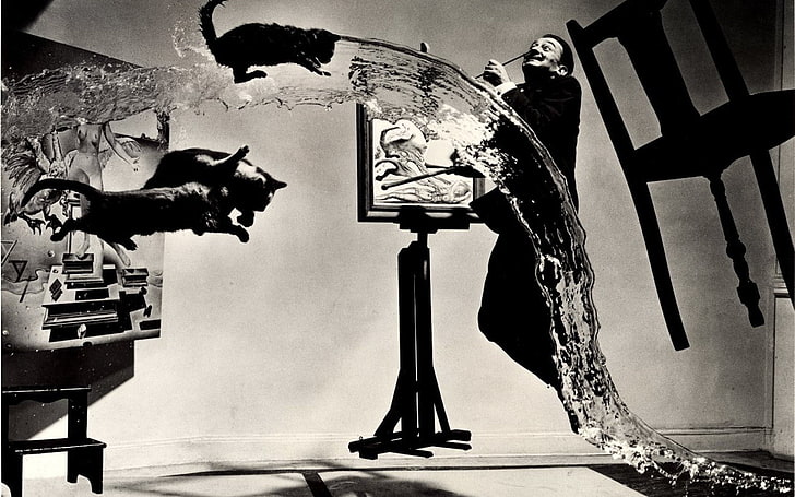 gatto, sedia, galleggiante, pittori, Salvador Dalí, acqua, Sfondo HD