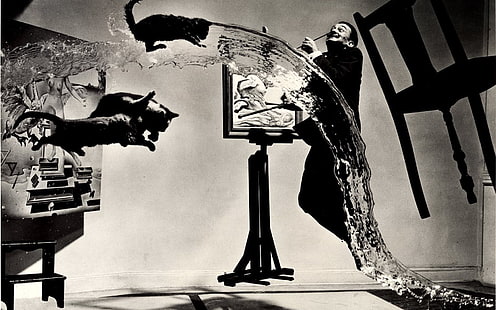 chat, chaise, flotteur, peintres, Salvador Dalí, eau, Fond d'écran HD HD wallpaper