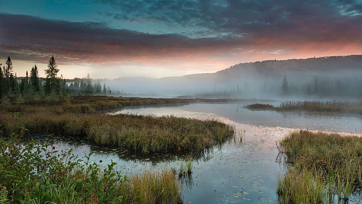 freshwater marsh, reflection, wetland, wilderness, dawn, marsh, sunrise, morning, lake, bog, mist, swamp, HD wallpaper