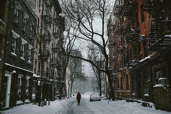 безлистно дърво, град, къща, зима, сняг, улица, HD тапет