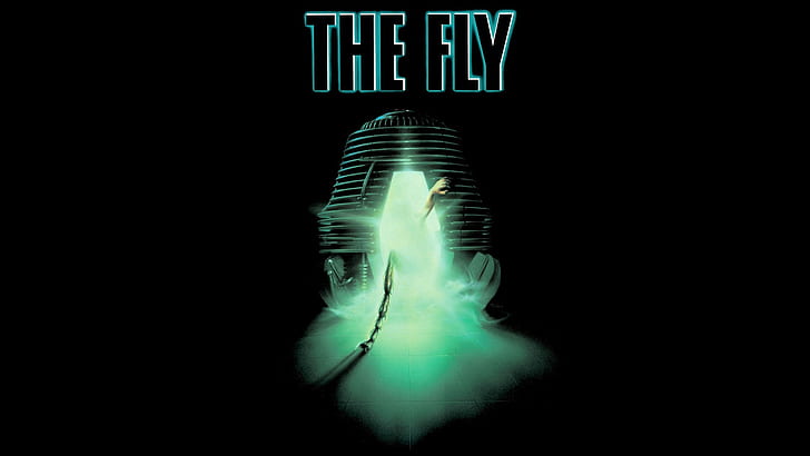 The Fly Black HD, el texto de la mosca, negro, películas, la mosca, Fondo de pantalla HD