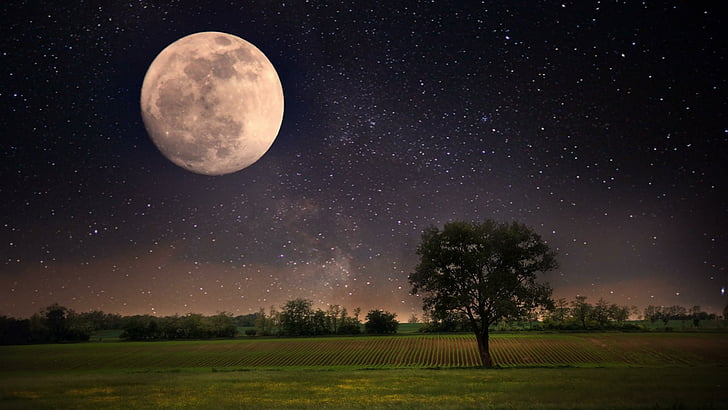 campo, astronomía, paisaje, árbol solitario, oscuridad, luz de la luna, árbol solitario, árbol, cielo estrellado, luna llena, luna nueva, objeto astronómico, noche, luna, superluna, cielo, naturaleza, Fondo de pantalla HD