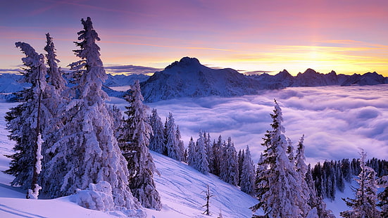 замръзване, замръзнал, заснежен, склон, облаци, Алпи, сутрин, хребет, борова гора, планински пейзаж, зима, дърво, пустиня, планина, сняг, планинска верига, гора, природа, небе, HD тапет HD wallpaper