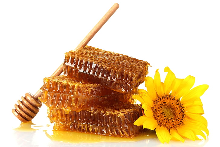ape, miele, dolce, giallo, Sfondo HD