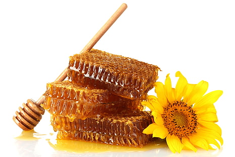 ผึ้ง, น้ำผึ้ง, หวาน, สีเหลือง, วอลล์เปเปอร์ HD HD wallpaper