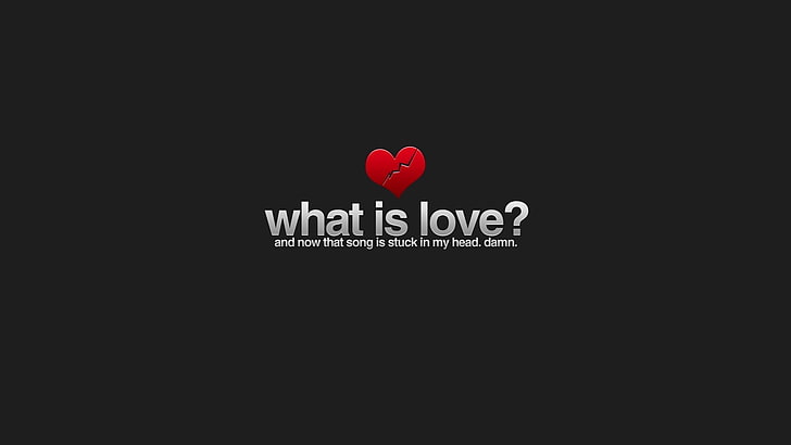 black background with what is love text overlay, love, typography, gray background, humor, songs, HD wallpaper