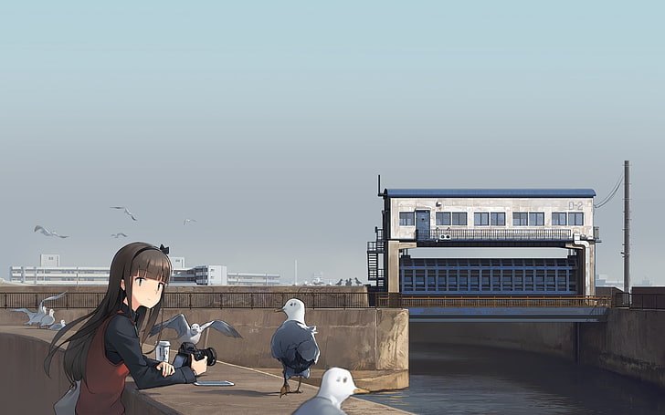 Ilustração de personagem de anime feminino de cabelos pretos, céu, personagens originais, gaivotas, HD papel de parede