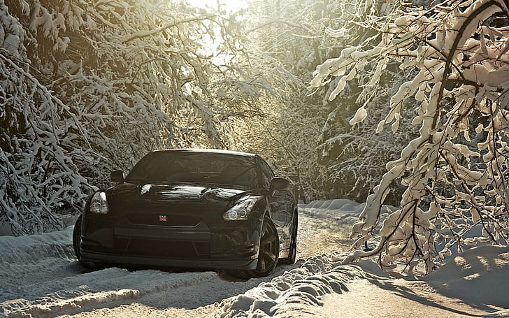 Nissan Skyline GTR Snow Winter Trees Sunlight HD, cars, trees, sunlight, snow, winter, nissan, skyline, gtr, HD wallpaper