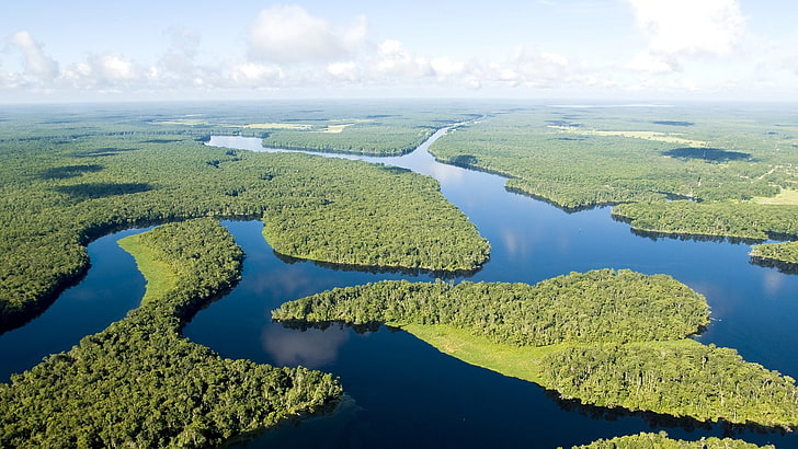 아마존, 강, 정글, 밝은, 파랑, 녹색, 조감도, HD 배경 화면