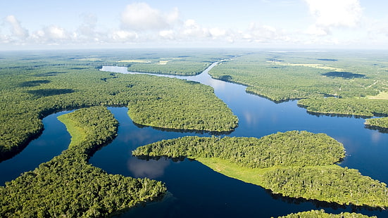 Amazon, river, jungle, bright, blue, green, aerial view, HD wallpaper HD wallpaper