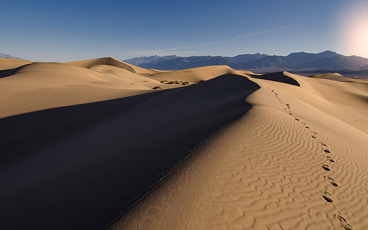 Desert HD, пустинен тапет, природа, пустиня, HD тапет