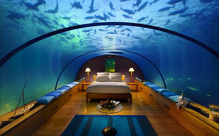 underwater, bedroom, hotel, interior, bed, aquarium, HD wallpaper