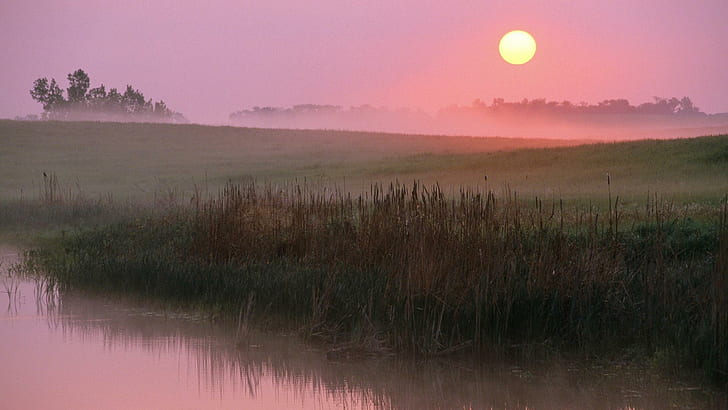 Beau lever de soleil brumeux, champs, rivière, lever de soleil, nature et paysages, Fond d'écran HD