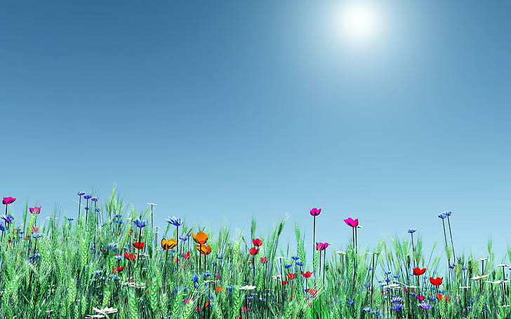 Spring Time Flowers, assorted flowers, spring, nature, flowers, 3d and abstract, HD wallpaper