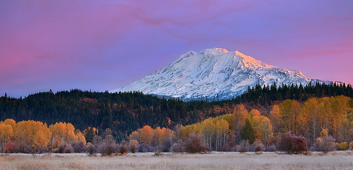 snölockberg och gröna blad, berg, falla, staten Washington, skog, snöig topp, gräs, natur, landskap, gul, lila, vit, HD tapet