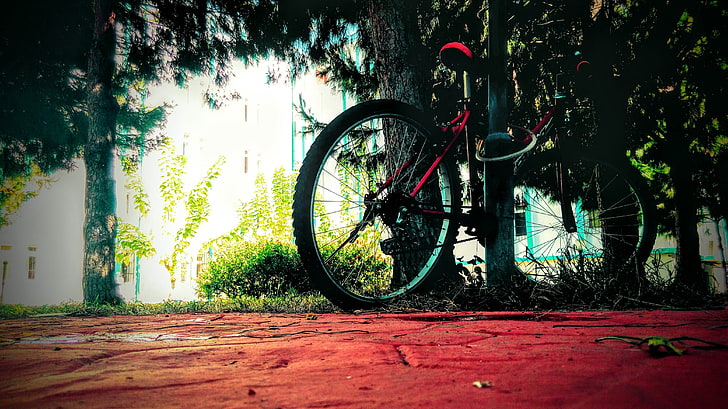 Rantai Sepeda, merah, Tunggul Pohon, Wallpaper HD