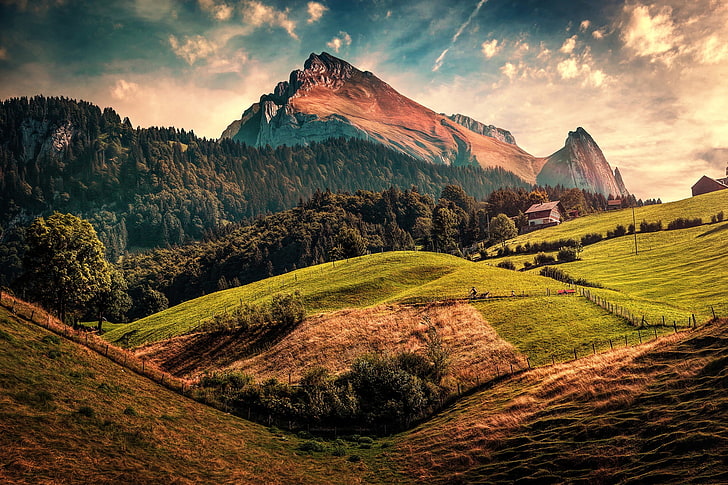 ต้นไม้ใบสีเขียวสวิตเซอร์แลนด์ธรรมชาติภูเขาภูมิทัศน์, วอลล์เปเปอร์ HD