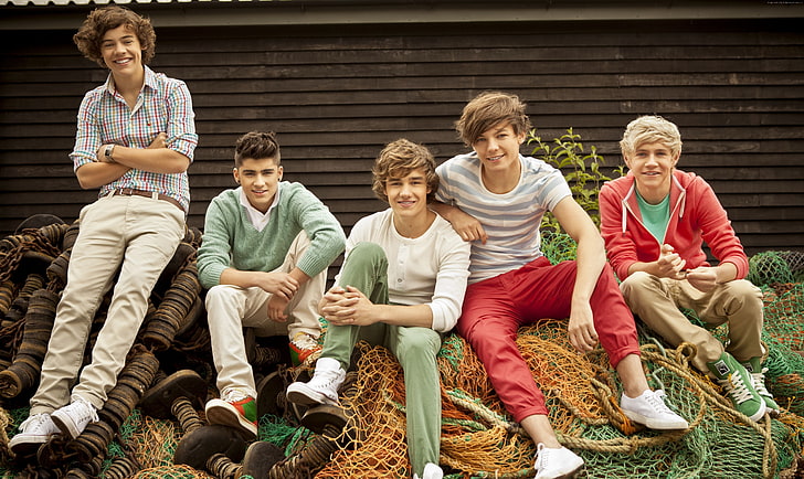 One Direction, Top music artist and bands, Louis Tomlinson, Harry Styles, Niall Horan, Zayn Malik, Liam Payne, HD wallpaper