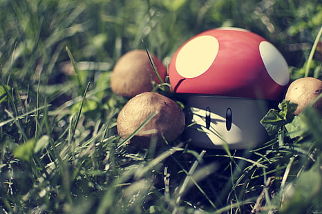 nintendo super mario mushrooms super mario bros nikon oneup super nintendo super mario mushroom ma Videojuegos Mario HD Art, nintendo, Super Mario, Fondo de pantalla HD HD wallpaper