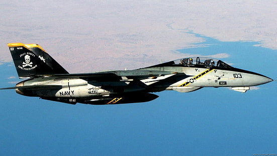 Реактивные истребители, Grumman F-14 Tomcat, HD обои HD wallpaper