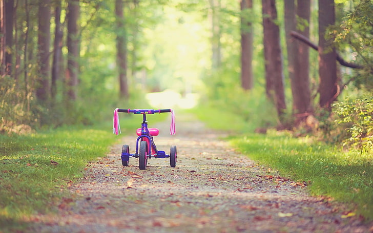 leaves, trees, bike, childhood, background, tree, pink, widescreen, Wallpaper, mood, children, bicycle, path, full screen, HD wallpapers, fullscreen, leave, footpath, track autumn, HD wallpaper