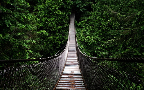 สะพานแขวนสีดำและสีน้ำตาลสะพานรั้วสีเขียวภาพถ่ายต้นไม้ป่าถนนเวเนซุเอลา, วอลล์เปเปอร์ HD HD wallpaper