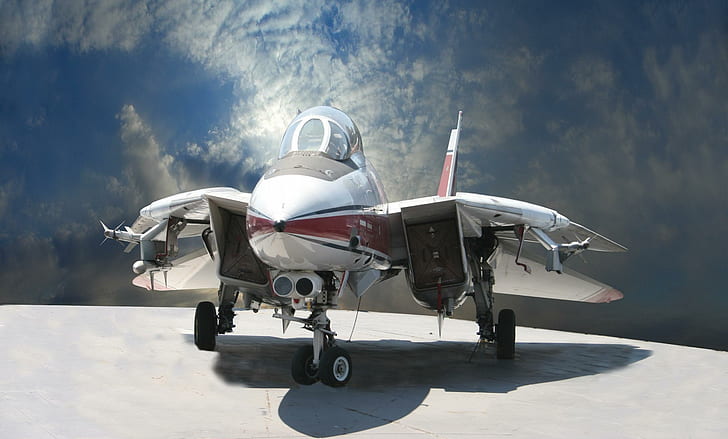 Hari Tomcat (1), militer, pesawat, tomcat, pesawat, pesawat terbang, Wallpaper HD
