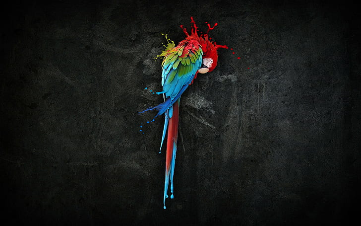 artistico, 1920x1200, macaw, vernice, pappagallo, uccello, pappagallo incredibile, Sfondo HD