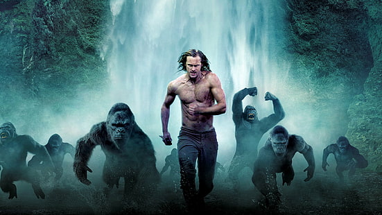 Film, Die Legende von Tarzan, Alexander Skarsgård, Gorilla, HD-Hintergrundbild HD wallpaper