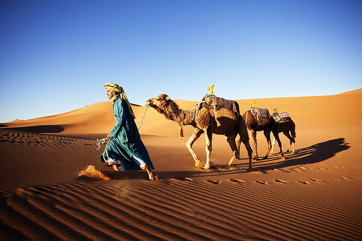 природа, животни, мъже, камили, пустиня, пясък, ясно небе, пясъчни дюни, National Geographic, слънчева светлина, сянка, HD тапет