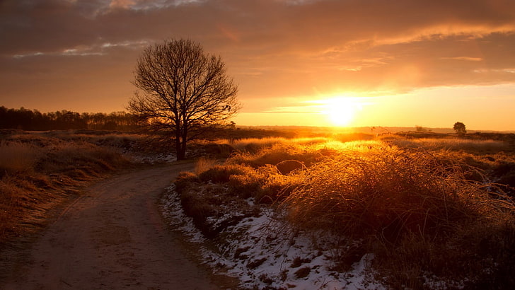 brauner Schotterweg, Natur, Sonnenuntergang, Landschaft, HD-Hintergrundbild