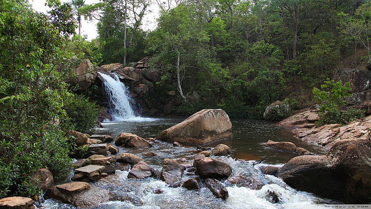 Waterfall Rocks Stone Trees Forest Stream HD, natura, drzewa, las, skały, kamień, wodospad, strumień, Tapety HD