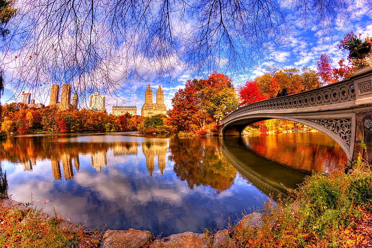 pont brun, automne, feuilles, eau, arbres, pont, nature, parc, réflexion, vue, Central Park, promenade, architecture, Fond d'écran HD