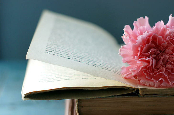 book, flower, bookmark, page, book, flower, bookmark, page, HD wallpaper