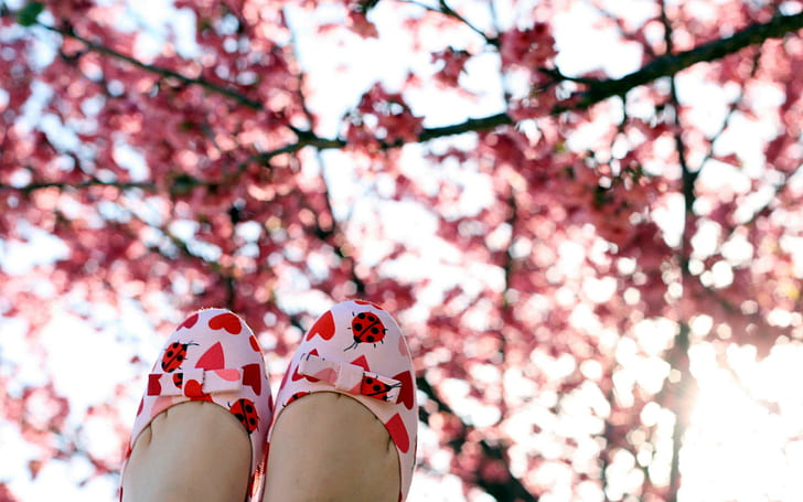 Spring Shoes, spring, nature, shoes, HD wallpaper