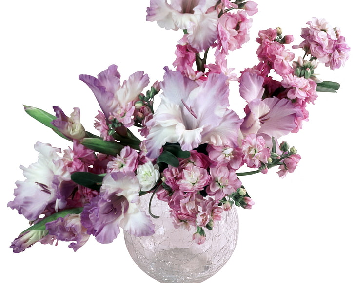 flores de pétalas brancas e rosa, gladíolos, flores, buquê, vaso, HD papel de parede