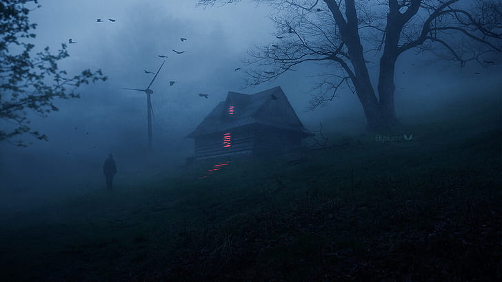 horror, house, Terror, ambient, atmosphere, mist, creepy, dark, shadow, dusk, lights, nature, silhouette, walking, people, birds, animals, trees, forest, environment, surreal, HD wallpaper