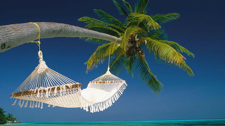 empty, hammock, islands, maldives, HD wallpaper