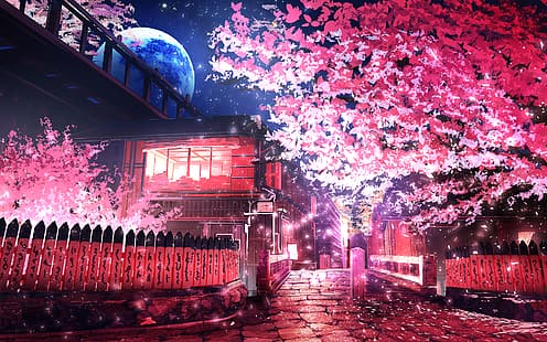 сакура (дърво), Киото, HD тапет HD wallpaper