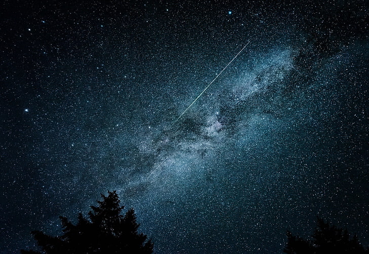 المجرة أثناء الليل خلفية رقمية ، نجوم ، صورة ظلية ، أشجار الصنوبر، خلفية HD